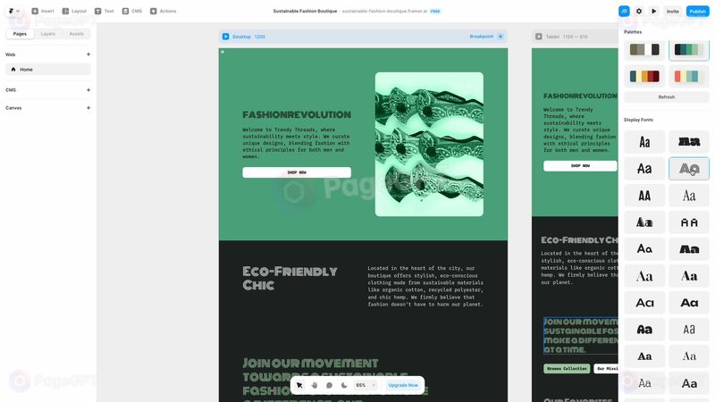 Framer screenshot Result 5